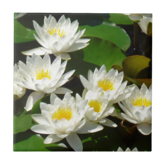 《植物》スイレンおよび葉 タイル