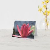 《植物》スイレンのメッセージカード カード (黄色い花)