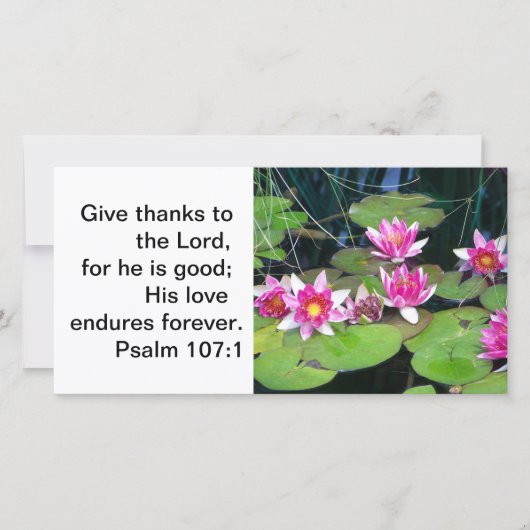 《植物》スイレンのメッセージカード サンキューカード (正面)