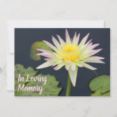 《植物》スイレンの告別式の葬式の発表 招待状 (正面)