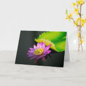 《植物》スイレンの挨拶状 カード (黄色い花)