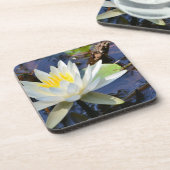 《植物》スイレンコースター コースター (左側)