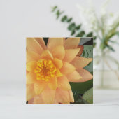 《植物》スイレンハート カード (スタンド正面)