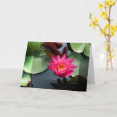 《植物》スイレンバラ3号 カード (黄色い花)