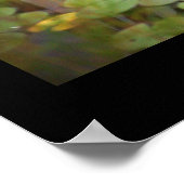 《植物》スイレンフォトポスター ポスター (角)