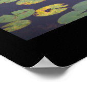 《植物》スイレンフォトポスター ポスター (角)