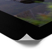 《植物》スイレンフォトポスター ポスター (角)