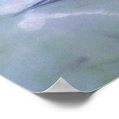 《植物》スイレンポスター ポスター (角)