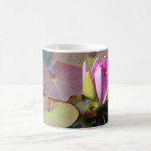 《植物》スイレンマグカップ コーヒーマグカップ (中央)