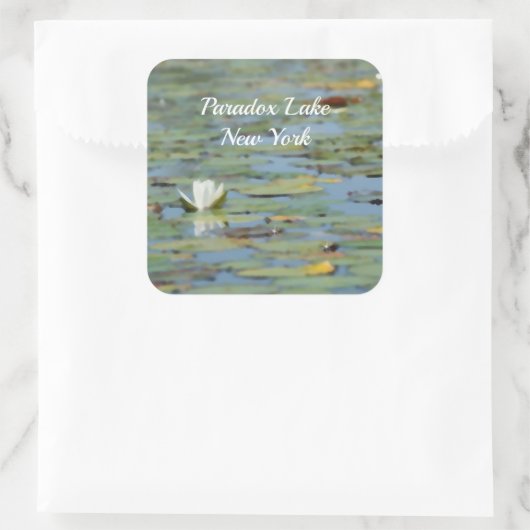 《植物》スイレンレイクフラワーウォーターカラーシール スクエアシール (バッグ)