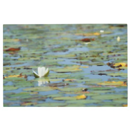 《植物》スイレンレイクフラワーウォーターカラーメタルウォールアート メタルプリント