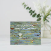 《植物》スイレン湖花水彩絵葉書 ポストカード (スタンド正面)