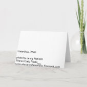 《植物》スイレン、シャロンCT カード (裏面)