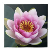 《植物》スイレン タイル (正面)