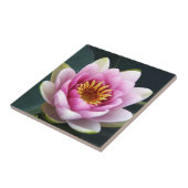 《植物》スイレン タイル (側面)