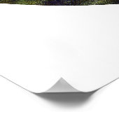 《植物》スイレン ポスター (角)