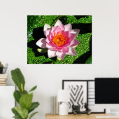 《植物》スイレン ポスター (ホームオフィス)