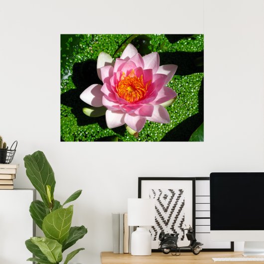 《植物》スイレン ポスター (ホームオフィス)