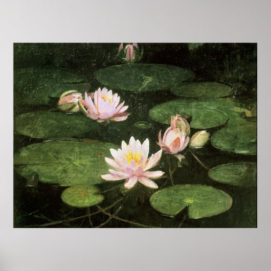 《植物》スイレン、素晴らしア絵画ートby Abbott Thayer ポスター (正面)