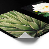 植物 ポスター (角)