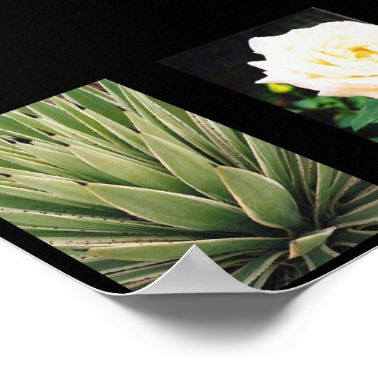 植物 ポスター (角)