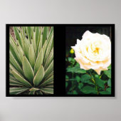 植物 ポスター (正面)