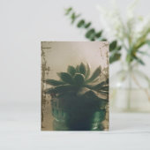 植物 ポストカード (スタンド正面)