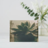 植物 ポストカード (スタンド正面)