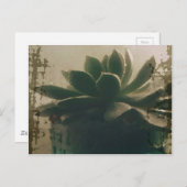 植物 ポストカード (正面/裏面)