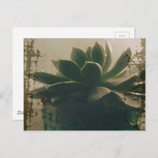 植物 ポストカード (正面/裏面)