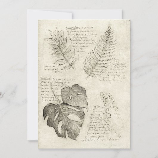 植物 招待状 (正面)