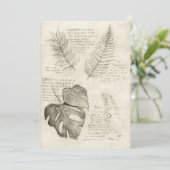 植物 招待状 (スタンド正面)