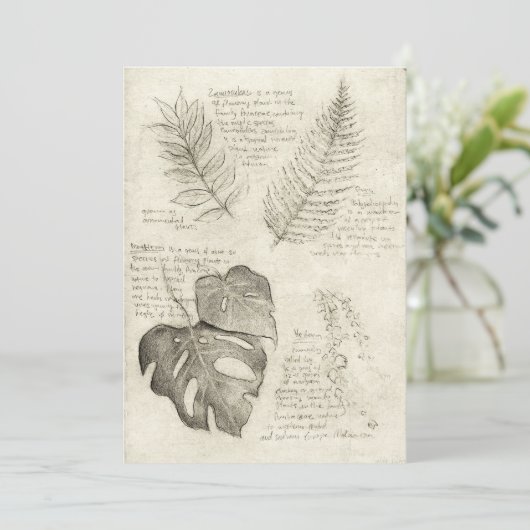 植物 招待状 (スタンド正面)