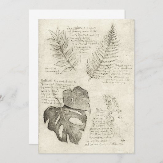 植物 招待状 (正面/裏面)