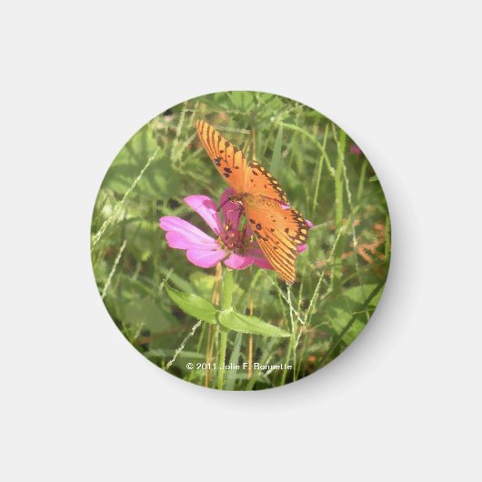 《植物》百日草とバタフライマグネット マグネット (正面)