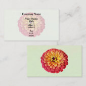 《植物》百日草のシェード・オブ・オレンジ 名刺 (正面/裏面)
