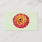 《植物》百日草のシェード・オブ・オレンジ 名刺 (裏面)