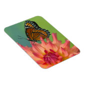 《植物》百日草の上の副蝶 マグネット (右側)