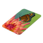 《植物》百日草の上の副蝶 マグネット (左側)