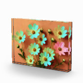 《植物》百日草エレガンス花 フォトブロック (右)