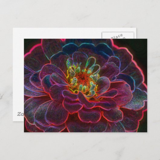 《植物》百日草デジタルアートフラワー写真はがき ポストカード (正面/裏面)