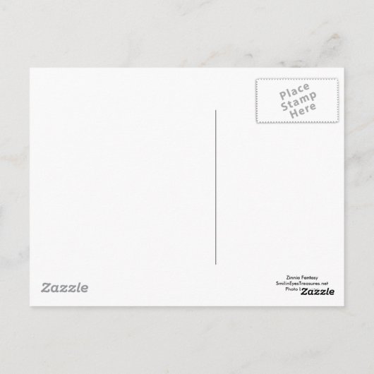 《植物》百日草デジタルアートフラワー写真はがき ポストカード (裏面)