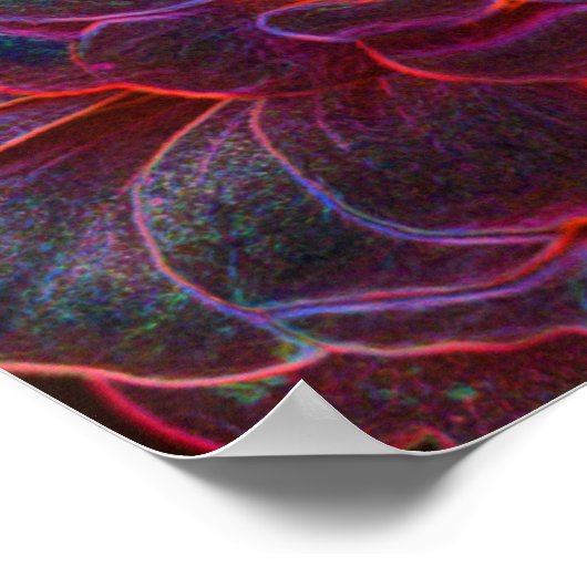 《植物》百日草ファンタジー抽象芸術花芸術 ポスター (角)