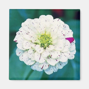 《植物》百日草フラワーマグネット マグネット