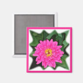 《植物》百日草星1 マグネット (正面/裏面)