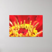 《植物》百日草花ハート