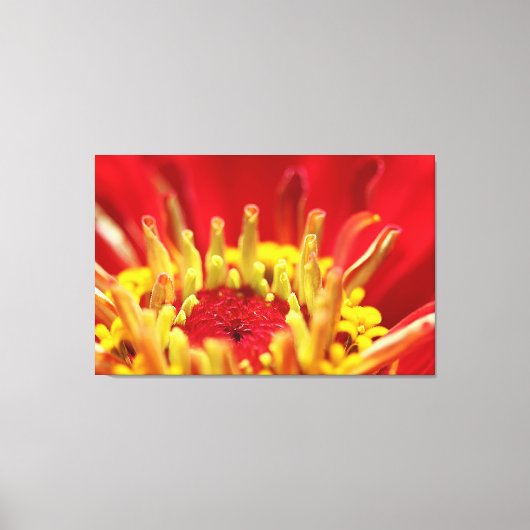 《植物》百日草花ハート キャンバスプリント (正面)