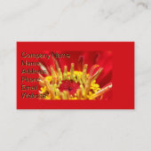 《植物》百日草花ハート 名刺 (正面)