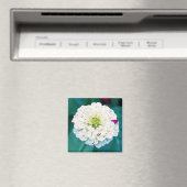 《植物》百日草花磁石 マグネット (インサイチュ (食洗機))