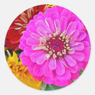《植物》百日草花 ラウンドシール